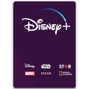 Disney+ Plus Private 1 Year Subscription - Safe Licenses